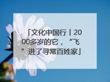 文化中国行丨2000多岁的它，“飞”进了寻常百姓家