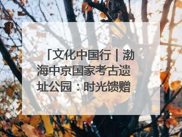 文化中国行｜渤海中京国家考古遗址公园：时光馈赠的宝藏 历史凝固的诗篇
