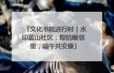 文化书院进行时｜水印蓝山社区：粽情暖邻里，端午共安康