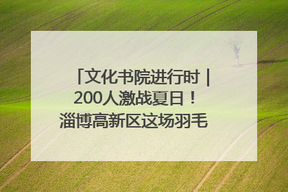 文化书院进行时｜200人激战夏日！淄博高新区这场羽毛球比赛太酷
