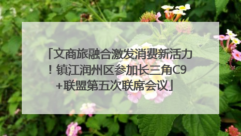 文商旅融合激发消费新活力！镇江润州区参加长三角C9+联盟第五次联席会议