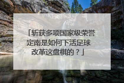 斩获多项国家级荣誉 定南是如何下活足球改革这盘棋的？