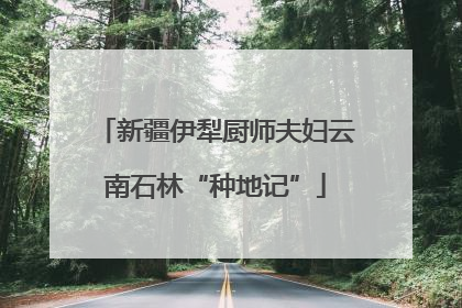 新疆伊犁厨师夫妇云南石林“种地记”