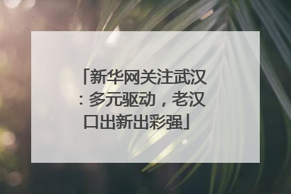 新华网关注武汉：多元驱动，老汉口出新出彩强