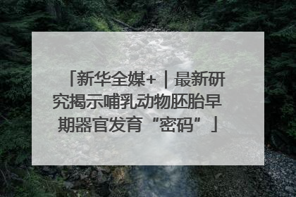 新华全媒+｜最新研究揭示哺乳动物胚胎早期器官发育“密码”