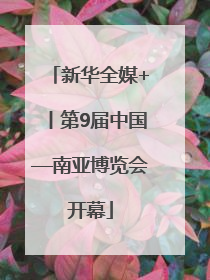 新华全媒+丨第9届中国—南亚博览会开幕