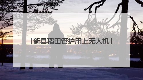 新县稻田管护用上无人机