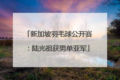 新加坡羽毛球公开赛：陆光祖获男单亚军