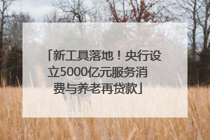 新工具落地！央行设立5000亿元服务消费与养老再贷款