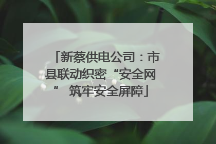 新蔡供电公司：市县联动织密“安全网” 筑牢安全屏障