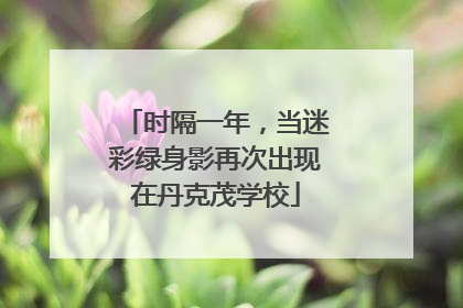时隔一年，当迷彩绿身影再次出现在丹克茂学校