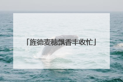 旌德麦穗飘香丰收忙