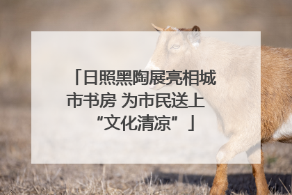 日照黑陶展亮相城市书房 为市民送上“文化清凉”