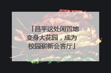 昌平这处闲置地变身大花园，成为校园崭新会客厅