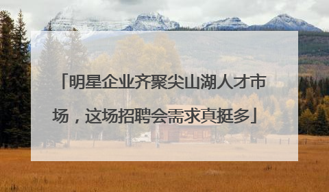 明星企业齐聚尖山湖人才市场，这场招聘会需求真挺多