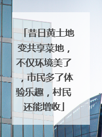 昔日黄土地变共享菜地，不仅环境美了，市民多了体验乐趣，村民还能增收