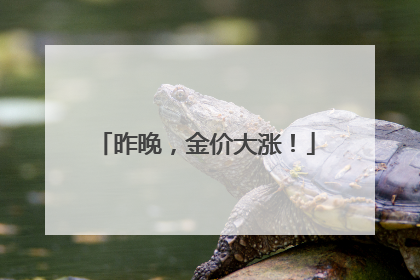 昨晚，金价大涨！