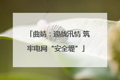 曲靖：迎战汛情 筑牢电网“安全堤”