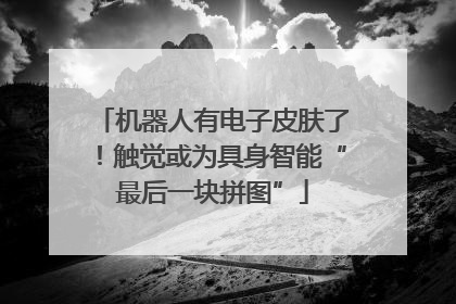 机器人有电子皮肤了！触觉或为具身智能“最后一块拼图”