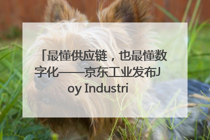 最懂供应链，也最懂数字化——京东工业发布Joy Industrial 重塑工业未来