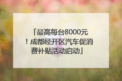 最高每台8000元！成都经开区汽车促消费补贴活动启动