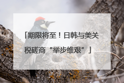 期限将至！日韩与美关税磋商“举步维艰”