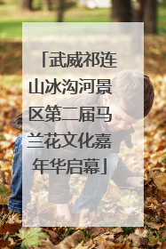 武威祁连山冰沟河景区第二届马兰花文化嘉年华启幕