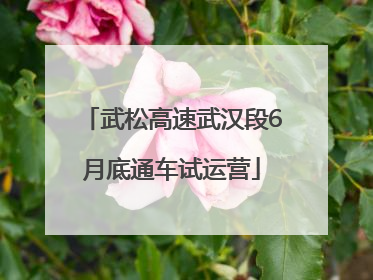 武松高速武汉段6月底通车试运营