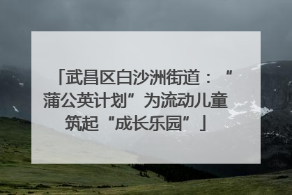 武昌区白沙洲街道：“蒲公英计划”为流动儿童筑起“成长乐园”