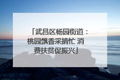 武昌区杨园街道：桃园飘香采摘忙 消费扶贫促振兴