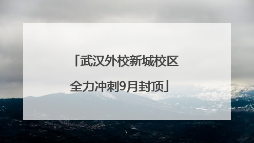 武汉外校新城校区全力冲刺9月封顶