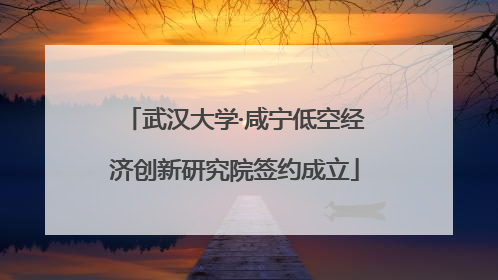 武汉大学·咸宁低空经济创新研究院签约成立