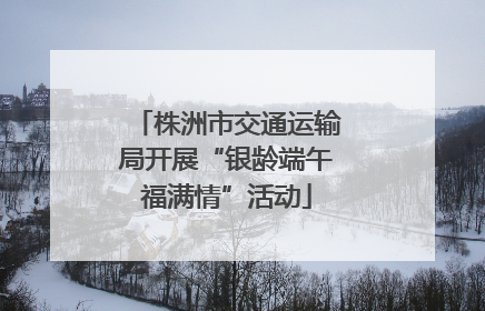 株洲市交通运输局开展“银龄端午福满情”活动