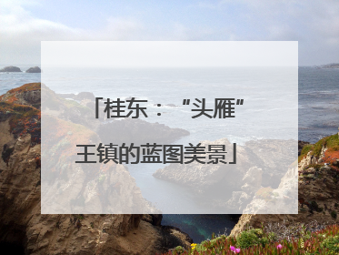 桂东：“头雁”王镇的蓝图美景