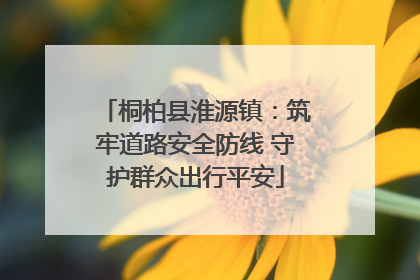 桐柏县淮源镇：筑牢道路安全防线 守护群众出行平安