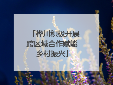 桦川积极开展跨区域合作赋能乡村振兴