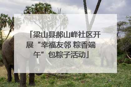 梁山县郝山峰社区开展“幸福友邻 粽香端午”包粽子活动