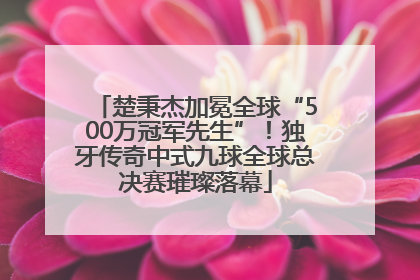 楚秉杰加冕全球“500万冠军先生”！独牙传奇中式九球全球总决赛璀璨落幕