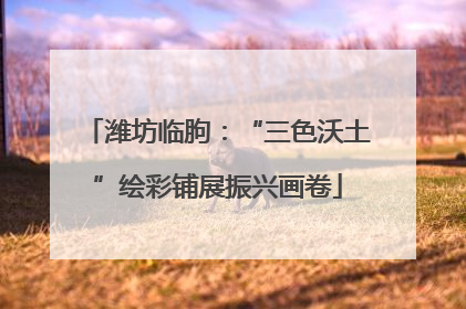潍坊临朐：“三色沃土”绘彩铺展振兴画卷