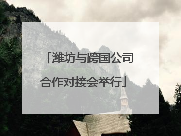 潍坊与跨国公司合作对接会举行