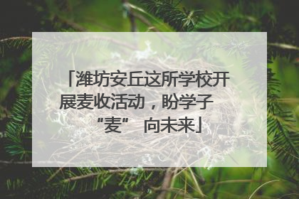 潍坊安丘这所学校开展麦收活动，盼学子 “麦” 向未来
