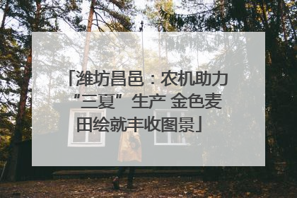 潍坊昌邑：农机助力“三夏”生产 金色麦田绘就丰收图景