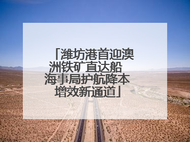 潍坊港首迎澳洲铁矿直达船 海事局护航降本增效新通道