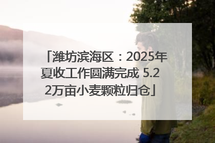 潍坊滨海区：2025年夏收工作圆满完成 5.22万亩小麦颗粒归仓