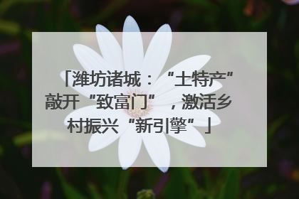 潍坊诸城：“土特产”敲开“致富门”，激活乡村振兴“新引擎”