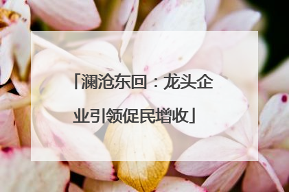 澜沧东回：龙头企业引领促民增收