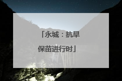 永城：抗旱保苗进行时