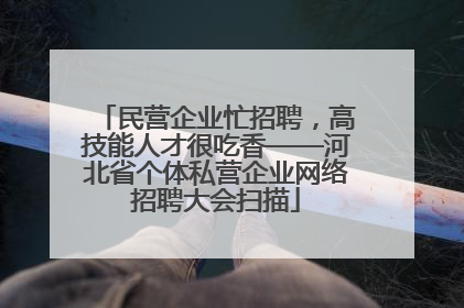 民营企业忙招聘，高技能人才很吃香——河北省个体私营企业网络招聘大会扫描