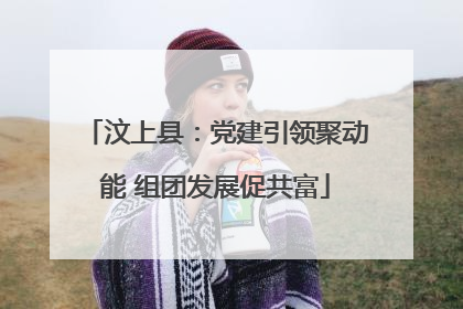 汶上县：党建引领聚动能 组团发展促共富