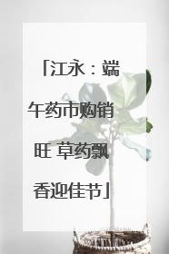 江永：端午药市购销旺 草药飘香迎佳节